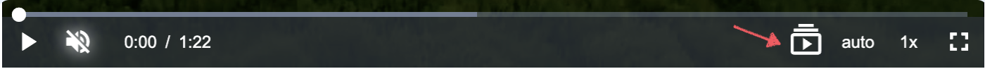 赤.png